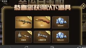 cfm最新百宝箱爆料,揭秘神秘道具与全新玩法