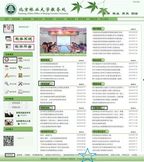 最新人文爆料网站推荐,人文领域最新爆料，带你领略知识前沿